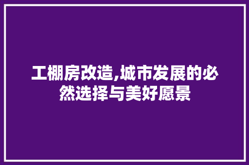 工棚房改造,城市发展的必然选择与美好愿景