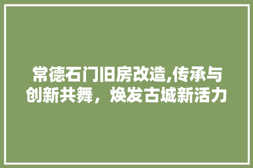 常德石门旧房改造,传承与创新共舞，焕发古城新活力 厨房维修