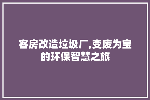 客房改造垃圾厂,变废为宝的环保智慧之旅 墙体维修