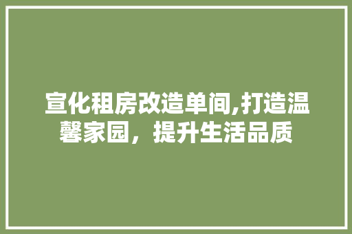 宣化租房改造单间,打造温馨家园，提升生活品质 综合便民