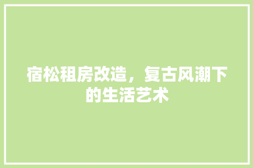 宿松租房改造，复古风潮下的生活艺术 汽车维修
