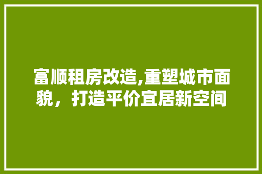 富顺租房改造,重塑城市面貌，打造平价宜居新空间