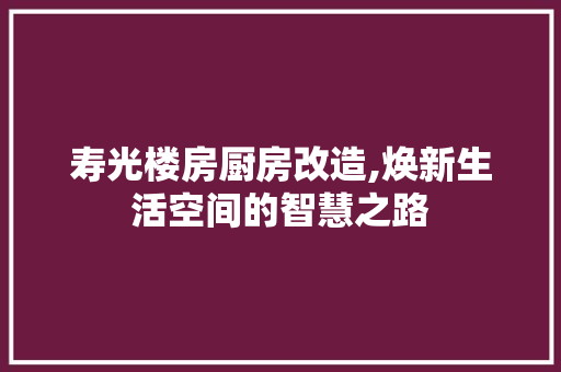 寿光楼房厨房改造,焕新生活空间的智慧之路