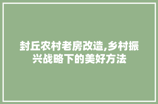 封丘农村老房改造,乡村振兴战略下的美好方法