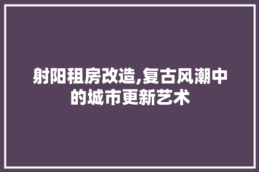 射阳租房改造,复古风潮中的城市更新艺术