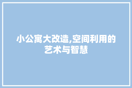 小公寓大改造,空间利用的艺术与智慧