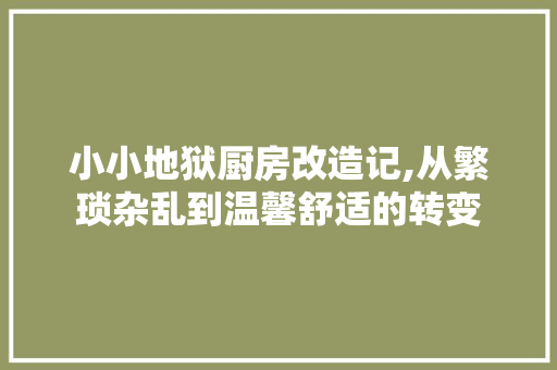 小小地狱厨房改造记,从繁琐杂乱到温馨舒适的转变