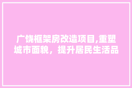 广饶框架房改造项目,重塑城市面貌，提升居民生活品质
