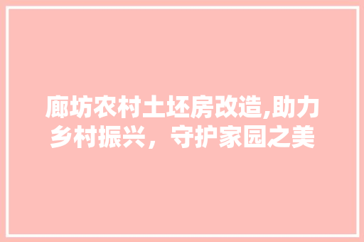 廊坊农村土坯房改造,助力乡村振兴，守护家园之美