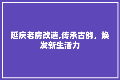 延庆老房改造,传承古韵，焕发新生活力