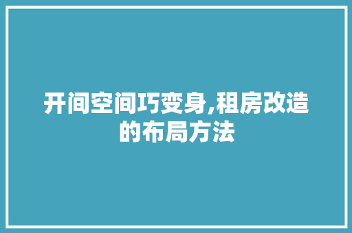 开间空间巧变身,租房改造的布局方法