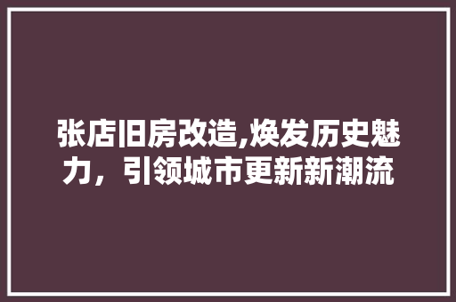 张店旧房改造,焕发历史魅力，引领城市更新新潮流 墙体维修