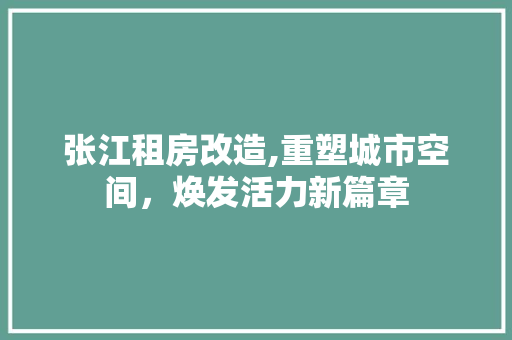 张江租房改造,重塑城市空间，焕发活力新篇章 厨房维修