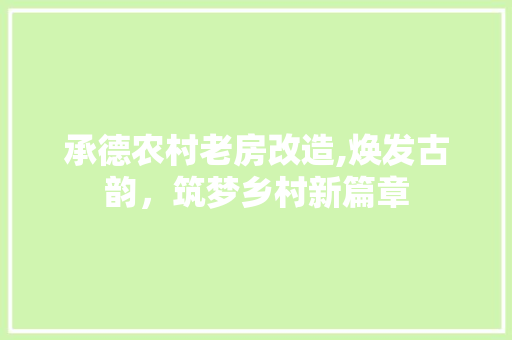 承德农村老房改造,焕发古韵，筑梦乡村新篇章 墙体维修