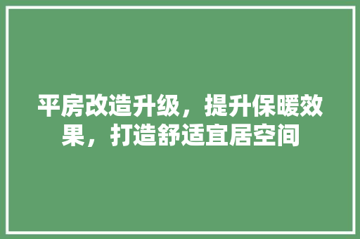 平房改造升级，提升保暖效果，打造舒适宜居空间