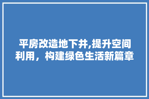 平房改造地下井,提升空间利用，构建绿色生活新篇章 汽车维修