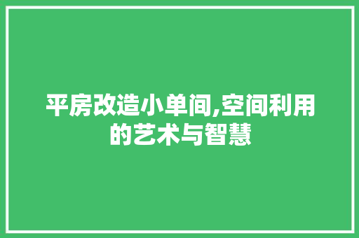 平房改造小单间,空间利用的艺术与智慧