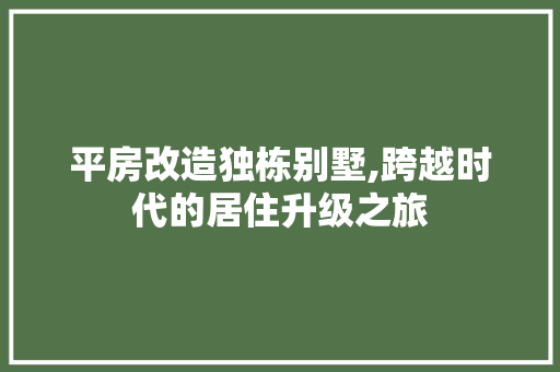 平房改造独栋别墅,跨越时代的居住升级之旅 厨房维修
