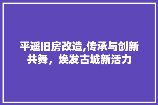 平遥旧房改造,传承与创新共舞，焕发古城新活力 墙体维修