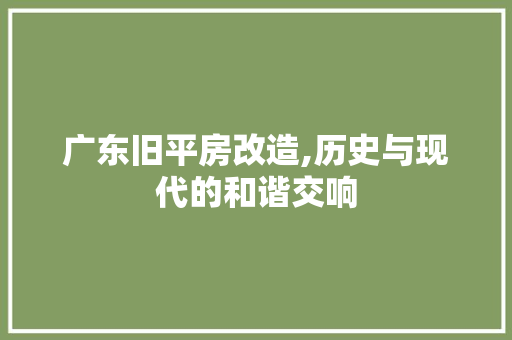 广东旧平房改造,历史与现代的和谐交响 厨房维修