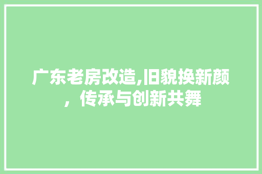 广东老房改造,旧貌换新颜，传承与创新共舞 汽车维修