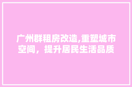 广州群租房改造,重塑城市空间，提升居民生活品质