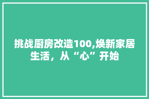 挑战厨房改造100,焕新家居生活，从“心”开始 家电维修