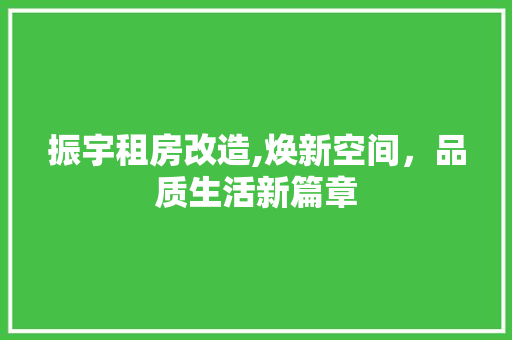 振宇租房改造,焕新空间，品质生活新篇章