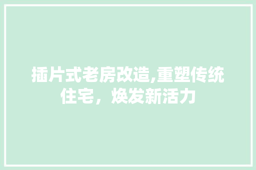 插片式老房改造,重塑传统住宅，焕发新活力