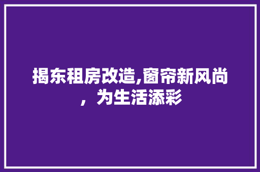 揭东租房改造,窗帘新风尚，为生活添彩
