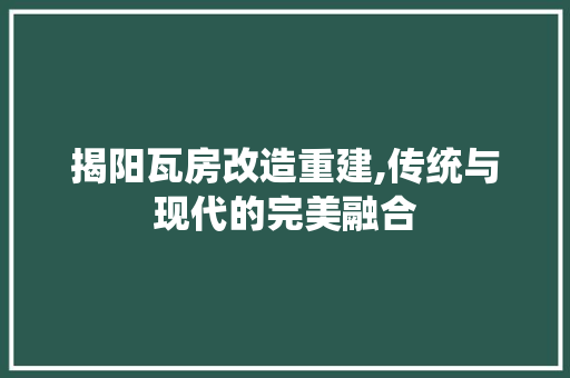 揭阳瓦房改造重建,传统与现代的完美融合 家电维修