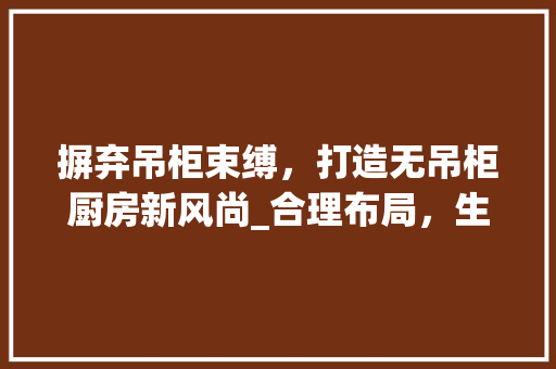 摒弃吊柜束缚，打造无吊柜厨房新风尚_合理布局，生活更美好