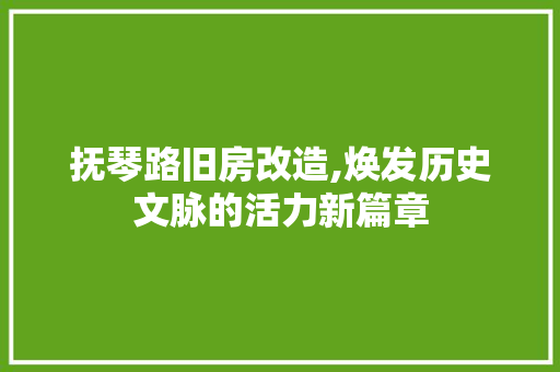 抚琴路旧房改造,焕发历史文脉的活力新篇章 综合便民