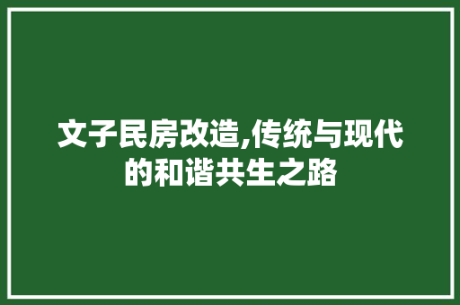 文子民房改造,传统与现代的和谐共生之路 汽车维修
