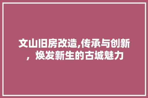 文山旧房改造,传承与创新，焕发新生的古城魅力 汽车维修