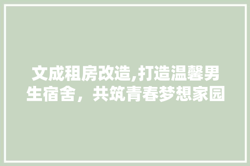 文成租房改造,打造温馨男生宿舍，共筑青春梦想家园 家电维修