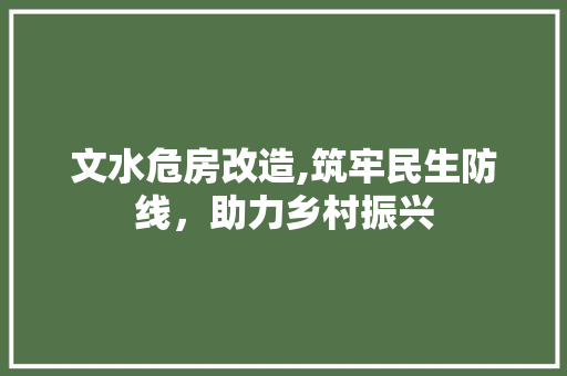 文水危房改造,筑牢民生防线，助力乡村振兴 汽车维修