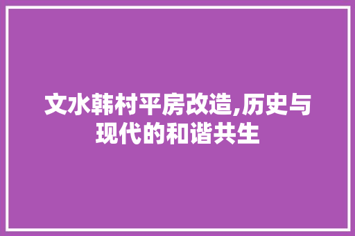 文水韩村平房改造,历史与现代的和谐共生 综合便民
