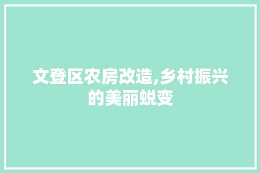 文登区农房改造,乡村振兴的美丽蜕变 厨房维修