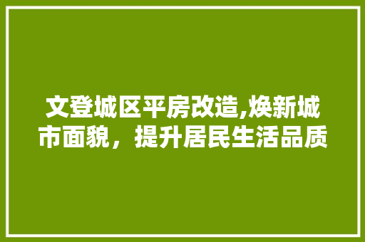 文登城区平房改造,焕新城市面貌，提升居民生活品质