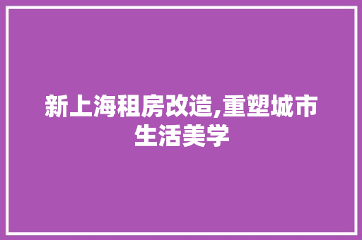 新上海租房改造,重塑城市生活美学