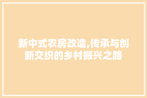 新中式农房改造,传承与创新交织的乡村振兴之路