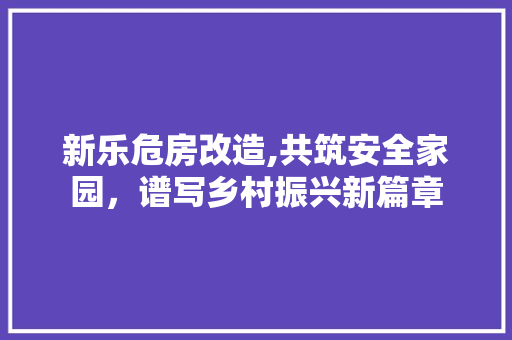 新乐危房改造,共筑安全家园，谱写乡村振兴新篇章