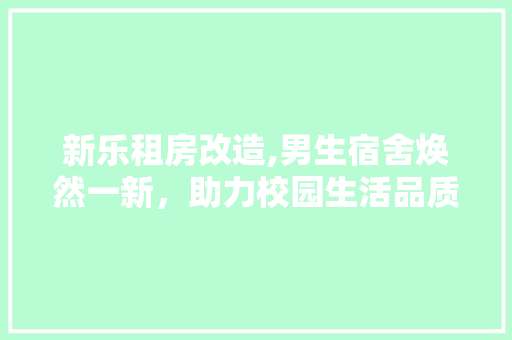 新乐租房改造,男生宿舍焕然一新，助力校园生活品质提升