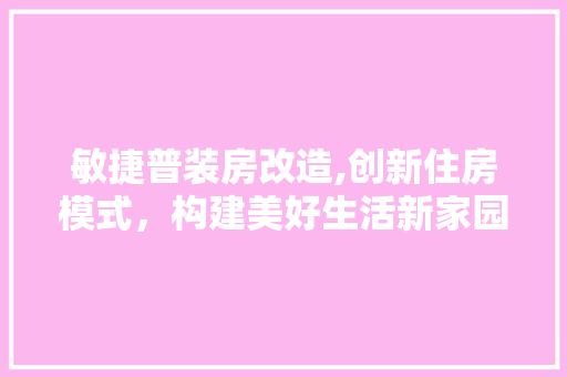 敏捷普装房改造,创新住房模式，构建美好生活新家园