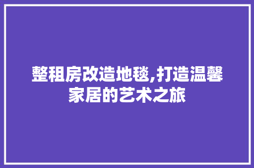 整租房改造地毯,打造温馨家居的艺术之旅 汽车维修