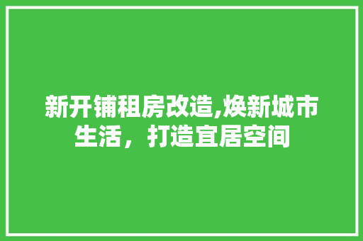 新开铺租房改造,焕新城市生活，打造宜居空间 综合便民