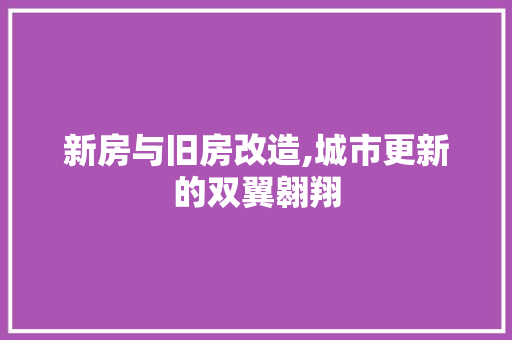 新房与旧房改造,城市更新的双翼翱翔 综合便民