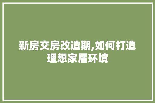 新房交房改造期,如何打造理想家居环境 墙体维修