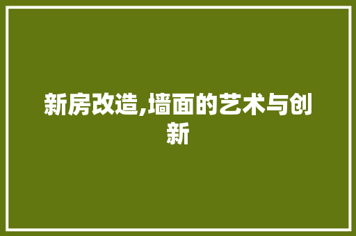 新房改造,墙面的艺术与创新 厨房维修